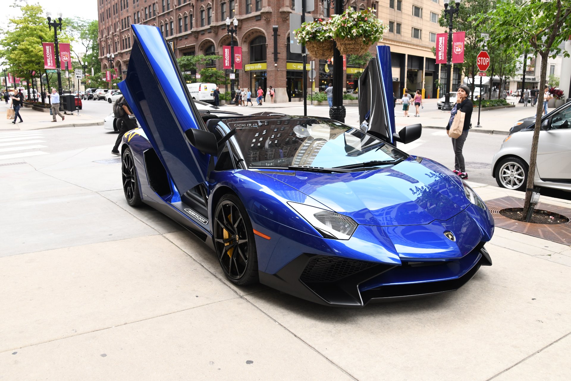 ブルー adidas Originals ZX Torsion | Blue | EE4796-ZX